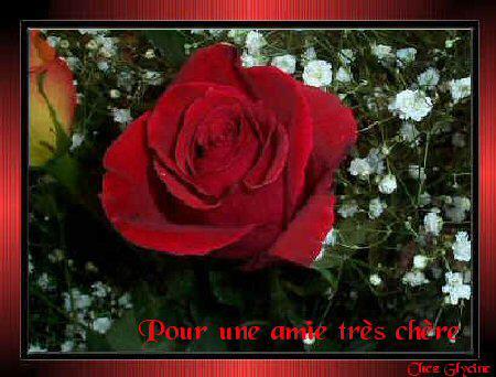 l maour